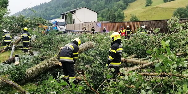 Sturmb En Fegen Ber Steiermark Rund Haushalte Ohne Strom