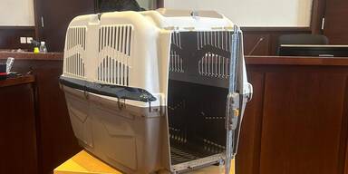 Hundebox-Fall: Ermittlungen gegen zwei Behördenmitarbeiter