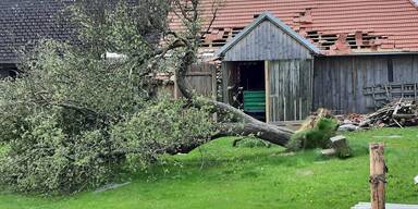 Tornado Waldviertel Oberfladnitz