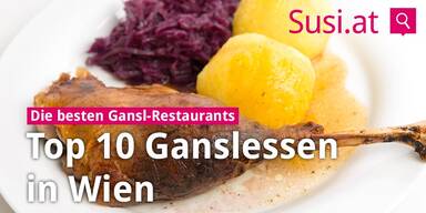 2017-10-23_Konsole-Top10-Ganslessen-Wien.jpg