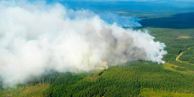 Waldbrände Schweden