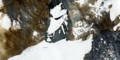 Nioghalvfjerdsfjorden-Gletscher Gletscher Grönland