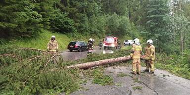 Unwetter Schäden Feuerwehr