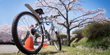 Fahrrad im Frühling