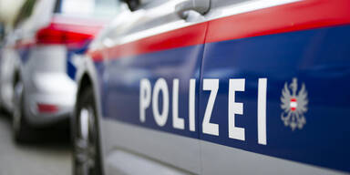 19-Jähriger kracht in Polizeiauto: Drei Verletzte