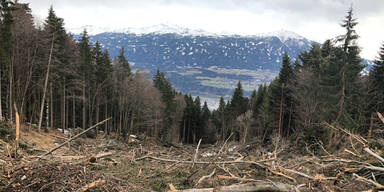 Enorme Waldschäden in Tirol