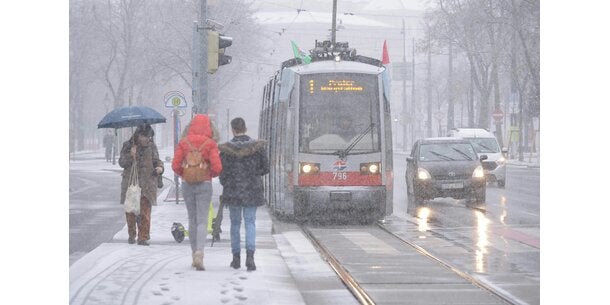 ウィーンに雪が降ってきました :: wetter.at