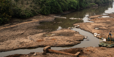 Amazonas_Header.png