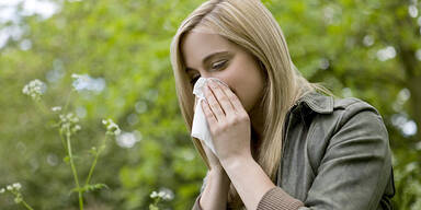 Pollen Allergie Frühling Schnupfen Frau