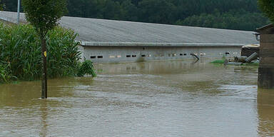 Überschwemmungen im Großraum Paldau