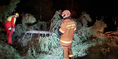 Freiwillige Feuerwehr Grossgmain