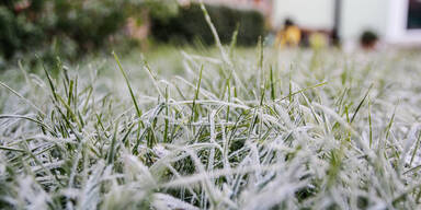 Nach 11 Monaten: Der erste Frost in Wien