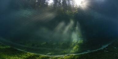 Unterwasserwelt Grüner See