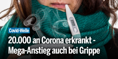 Grippe_Konsole.png