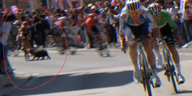 Tierischer Schock bei Giro d'Italia: Vierbeiner läuft mitten auf die Strecke