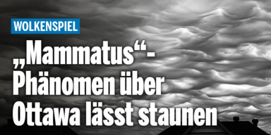 Mammatus_Konsole.png