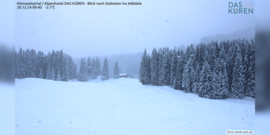 Neuschnee_Bild1_Kleinwalsertal.png