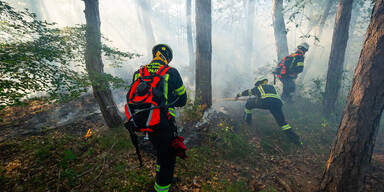 Waldbrand in Mödling: Feuerwehr im Einsatz
