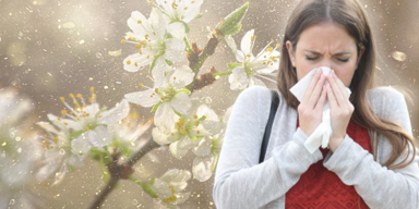 Pollen_Header.png