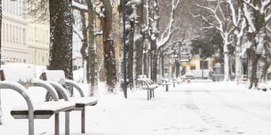 Schnee-in-Wien.jpg