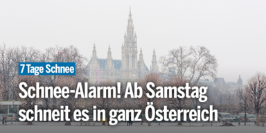 Schneealarm_Konsole.png