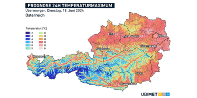 Sommerlich_Bild3.png