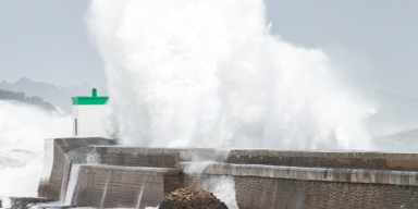 Tsunami_Header.png