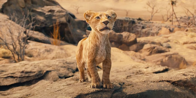 "König der Löwen": Erster Trailer zum neuen Film ist da