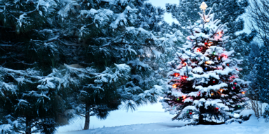 Weihnachts-Wetter 2024: Schnee oder nasskaltes Fest? Das sagen die Prognosen