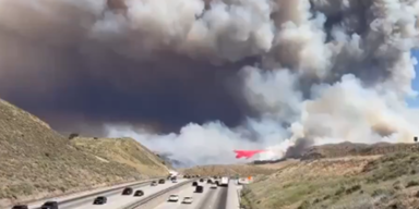 Verheerende Waldbrände: 15.000 Hektar Land zerstört