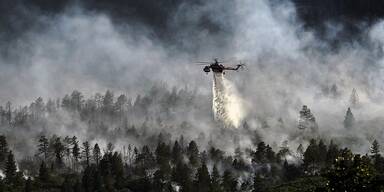 Waldbrand - Unser Tiere - Tierschutz-CH - Klimawandel, Naturkatastrophen - Story-Header