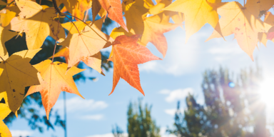 Erst Regen, dann kommt der goldene Herbst