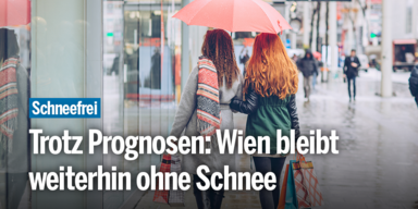 Wien_ohne_Schnee_Konsole.png