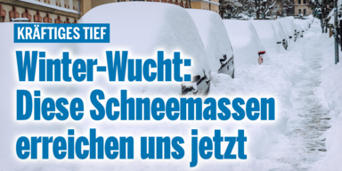 Winterwucht_Konsole.png