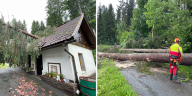 Kärnten: Baum kracht durch Wohnhaus 