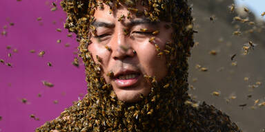 Welt-Rekord: Zhang Wei lässt 200.000 Bienen an seinen Körper