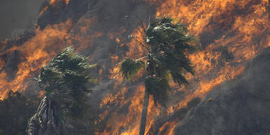 Buschbrände in Kalifornien