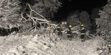 Schnee-Chaos in Kärnten: Baum fiel auf fahrendes Auto