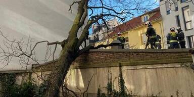 Hunderte Feuerwehr-Einsätze: Sturm demoliert Dächer in Wien