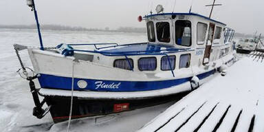 Kälte - Eis auf der Donau 