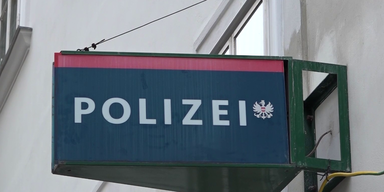Wienerin nach versuchtem Faustschlag gegen Polizisten festgenommen