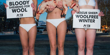 PETA-Aktivisten protestieren in Berlin gegen die Misshandlung von Tieren