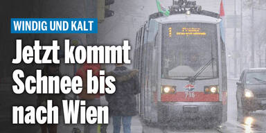 schnee-wien_wetterAT_relaunch.jpg