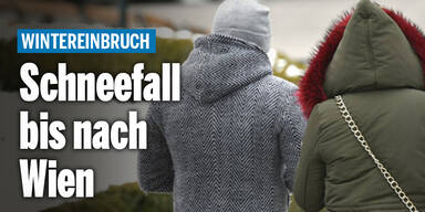 schneefall-wien_wetterAT_relaunch.jpg