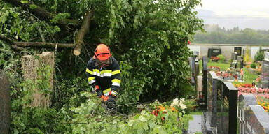 Umgestürzte Bäume verursachten am Friedhof von Großlobming 