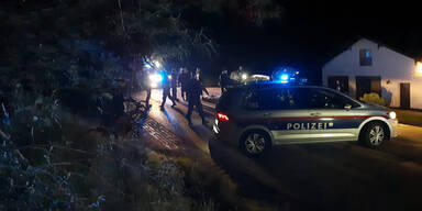 Wilde Verfolgungsjagd: Polizeiauto beschädigt, 7 Festnahmen