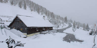 Zechneralm Nockalmstraße (Kärnten) 1.920m  