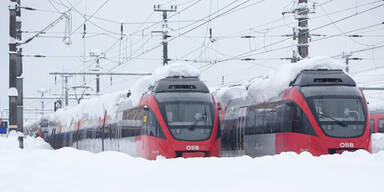 Züge im Schnee